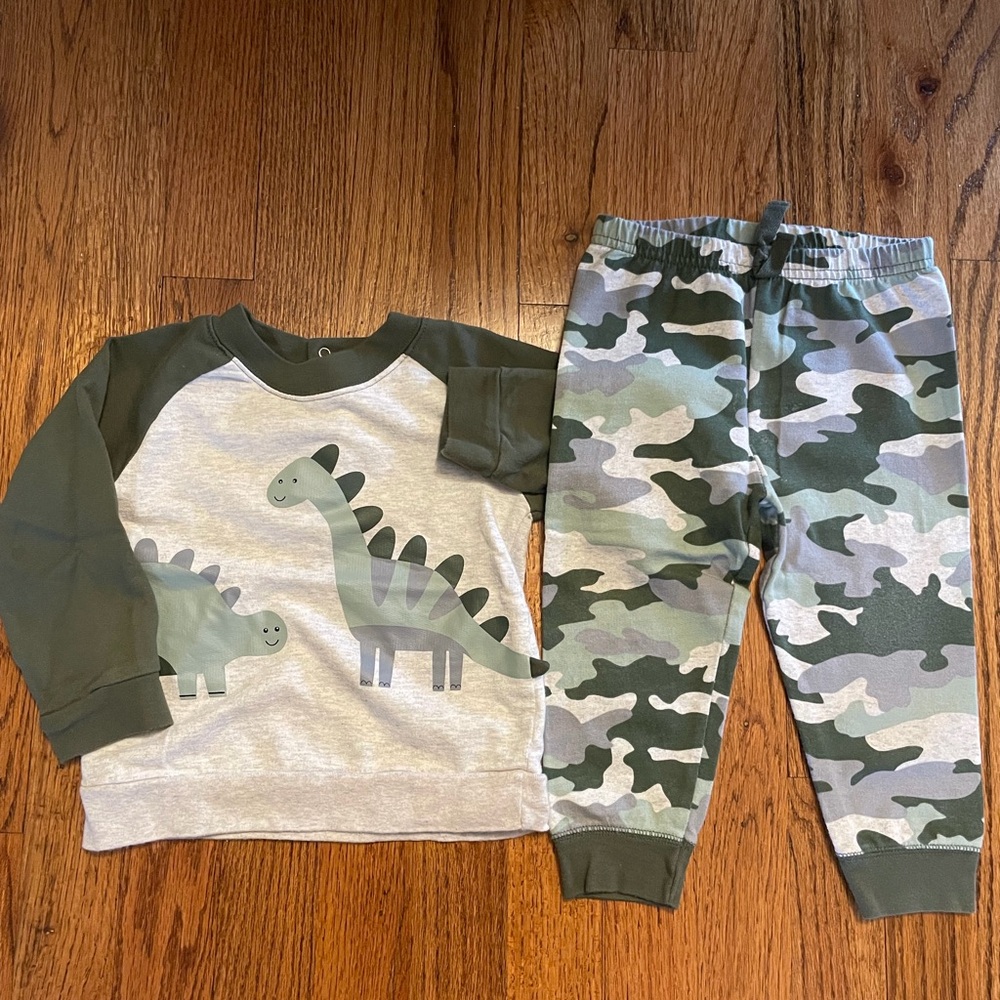 Dinosaur Matching Set